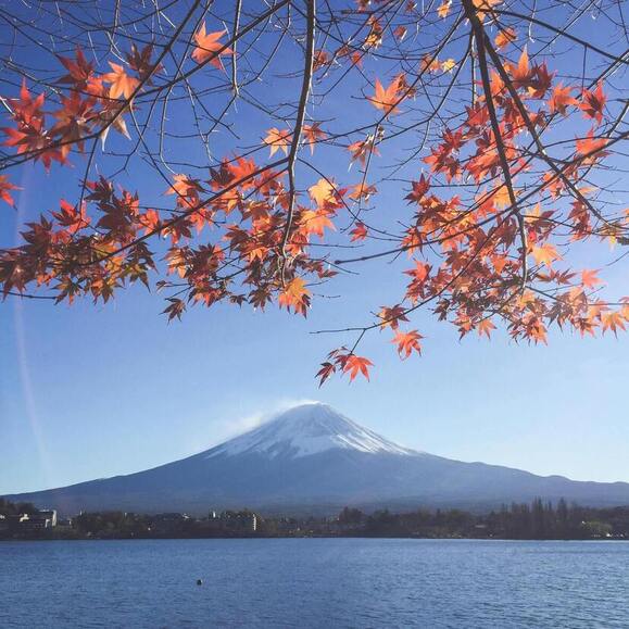 Best Time to Travel Japan | Seasonal Guide for Tokyo, Kyoto & Osaka