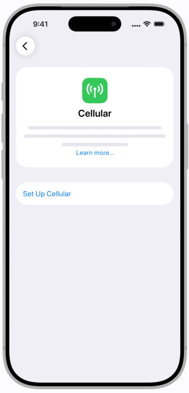 iPhone screen showing the Set Up Cellular button