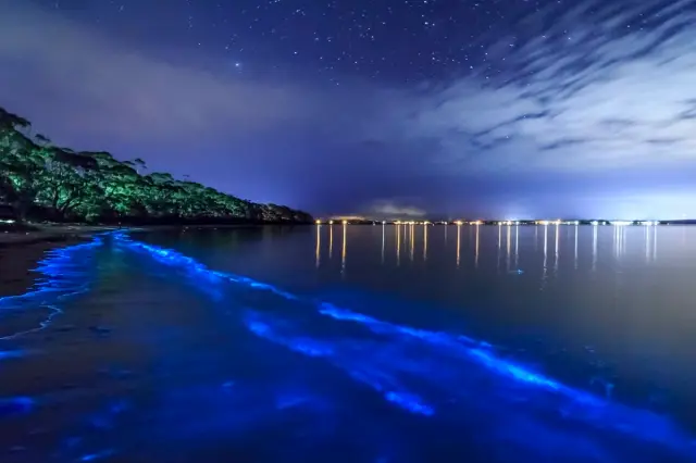 Kayaking through glowing blue water in Mosquito Bay, Vieques